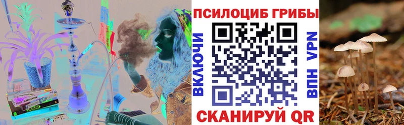 kraken онион  Нязепетровск  Псилоцибиновые грибы MAGIC MUSHROOMS  цены наркотик 